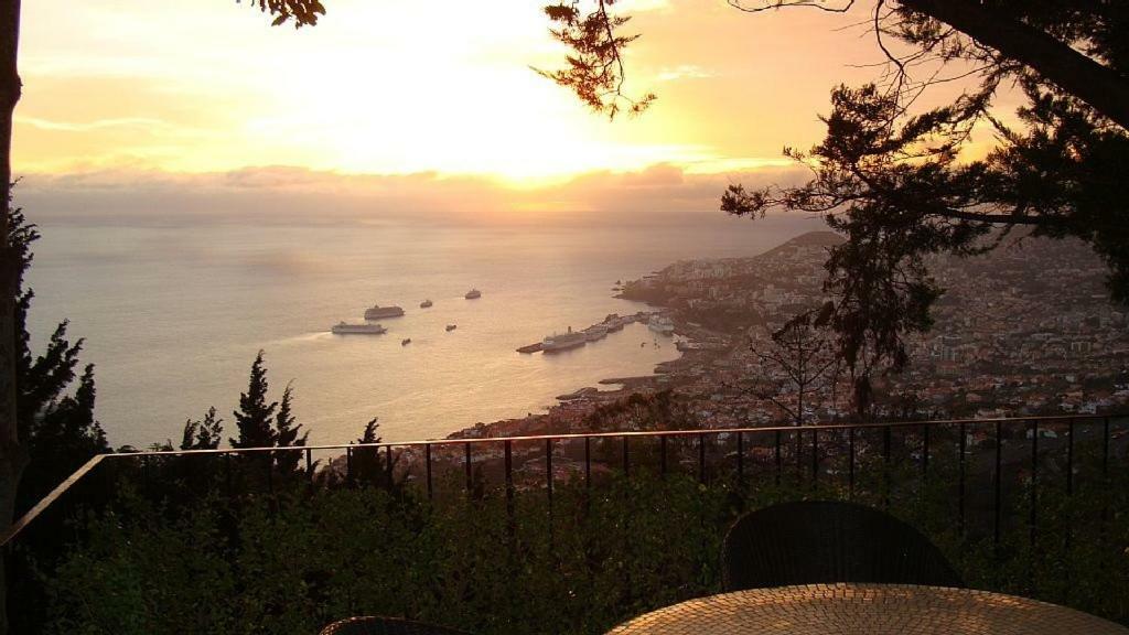 Apartamento Charmoso No Funchal, Com Grande Jardim E Vista Esplendida Exteriér fotografie